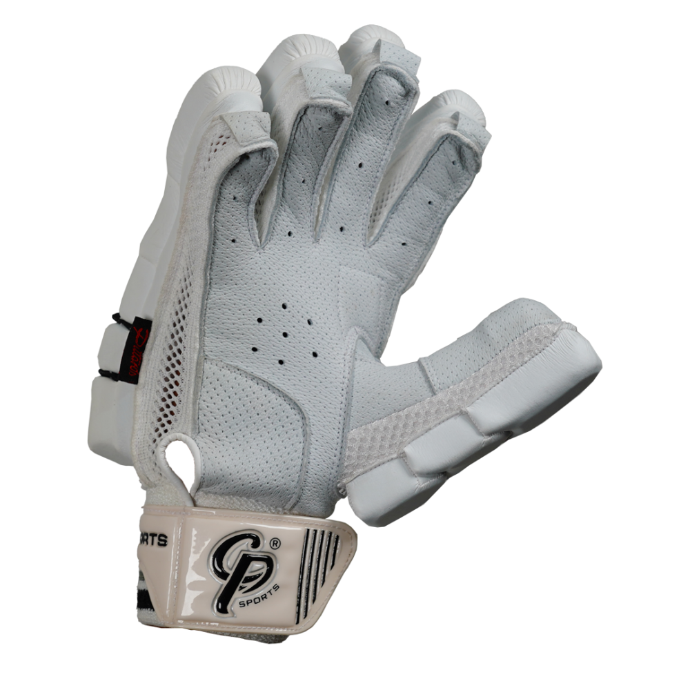 thumbnail image 2 of Batting Leg Guard Gloves Set Kalindri Sports Cricket Leg Guards Batting Gloves Set Practice Protection Gear 375210 2 of 9