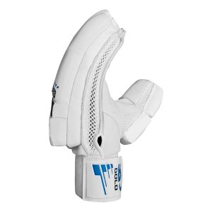 CA GOLD 10000 - Image 4