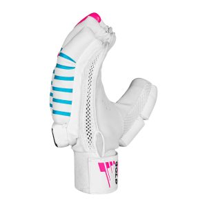 CA GOLD 3000 - Image 3