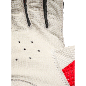 PLAYER EDITION - Image 5