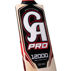 CA Pro 12000 - Image 4