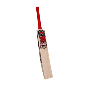 CA PRO 3000 - Image 4