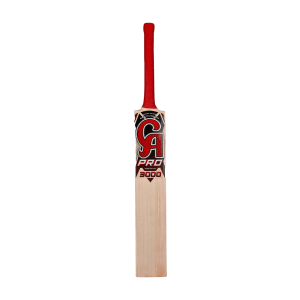 CA PRO 3000 - Image 1