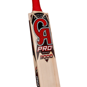 CA PRO 3000 - Image 5