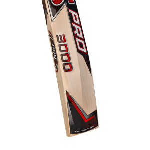 CA PRO 3000 - Image 3
