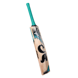 CA PRO 2000 - Image 2