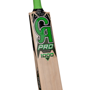 CA PRO 1000 - Image 3